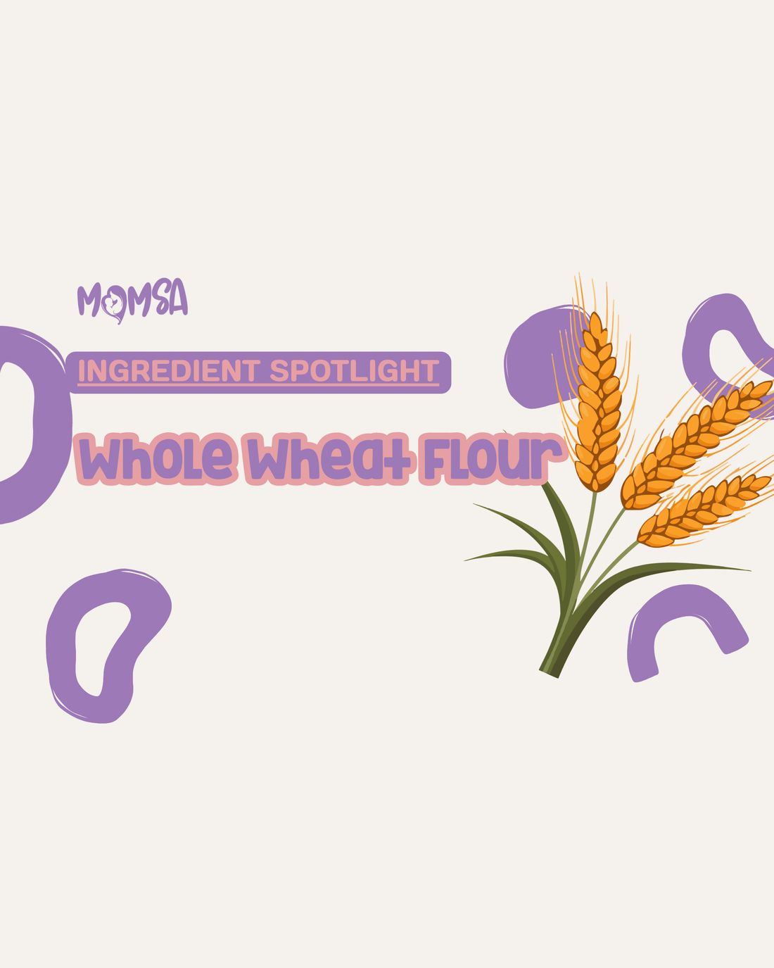 Name of ingredient and a cartoonish picture of whole wheat berries and straw