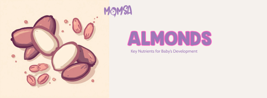 Almonds and the Brain Development Your Baby Needs